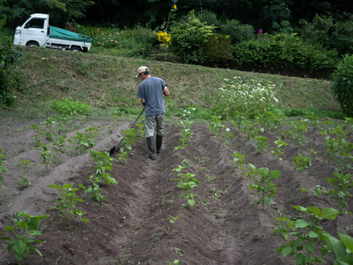 《3/26》二宮家の農ある暮らしのお話会と聖子さんのごはん、種の交換会の関連画像1