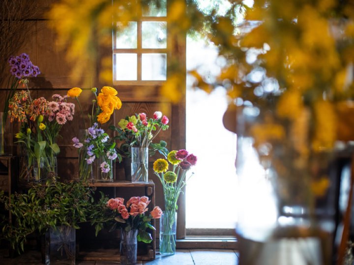 《4/18》きそだにマーケット～発酵の関連画像2